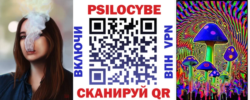 Галлюциногенные грибы Psilocybe Николаевск